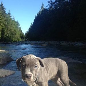 Meet your Posher, Krisztina